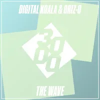 Digital Koala — The Wave (Feat. Griz-O) — обложка